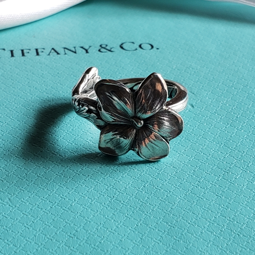 ⛔SOLDAntique 1885 Tiffany & Co Spoon - Ring Violet - Picture 6 of 16